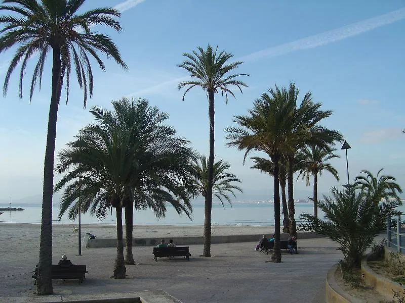 Hotel Hispania Πλάγια Ντε Πάλμα 4*,